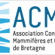 Association Conservatoire Mammifères et Oiseaux Marins de Bretagne (...)